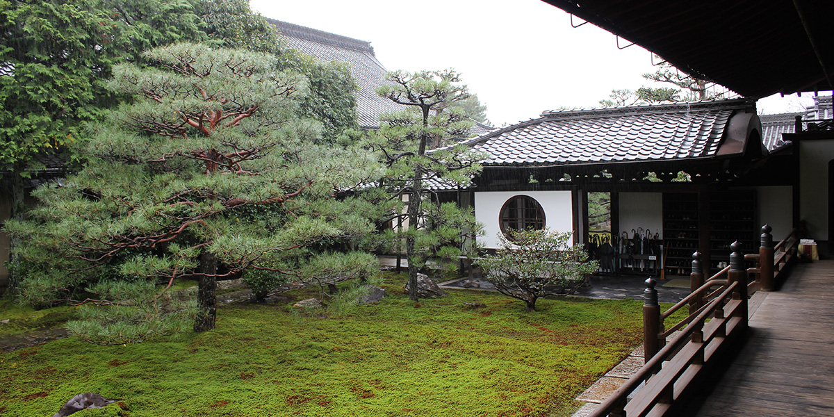 京都の樹木葬がある建仁寺の庭